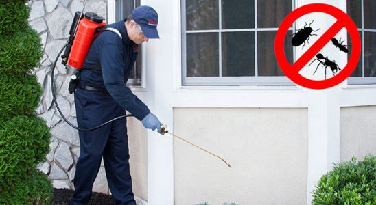 Tercan Bit İlaçlama böcek ilaçlama ve haşere kontrolü — ilaclama-tr.com
